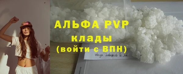 твердый Ростов