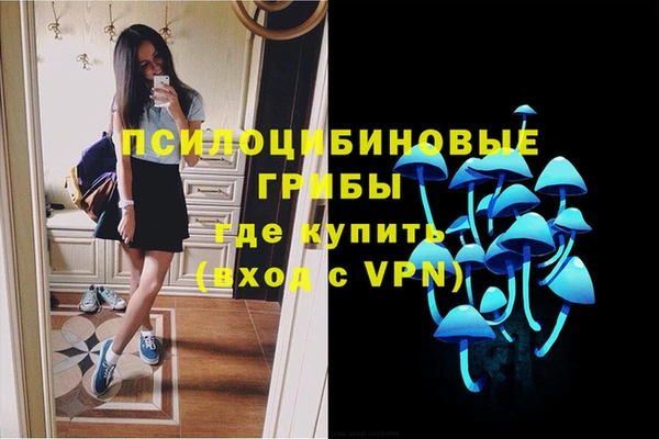 соль ск Беломорск