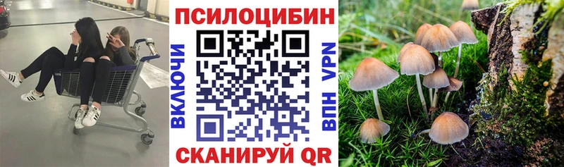 Псилоцибиновые грибы MAGIC MUSHROOMS  Трёхгорный 